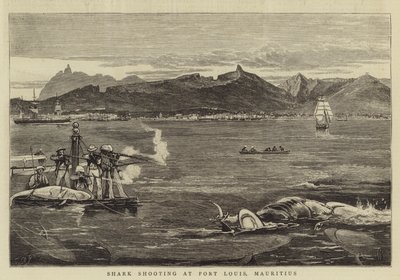 Shark Shooting at Port Louis, Mauritius by Joseph Nash